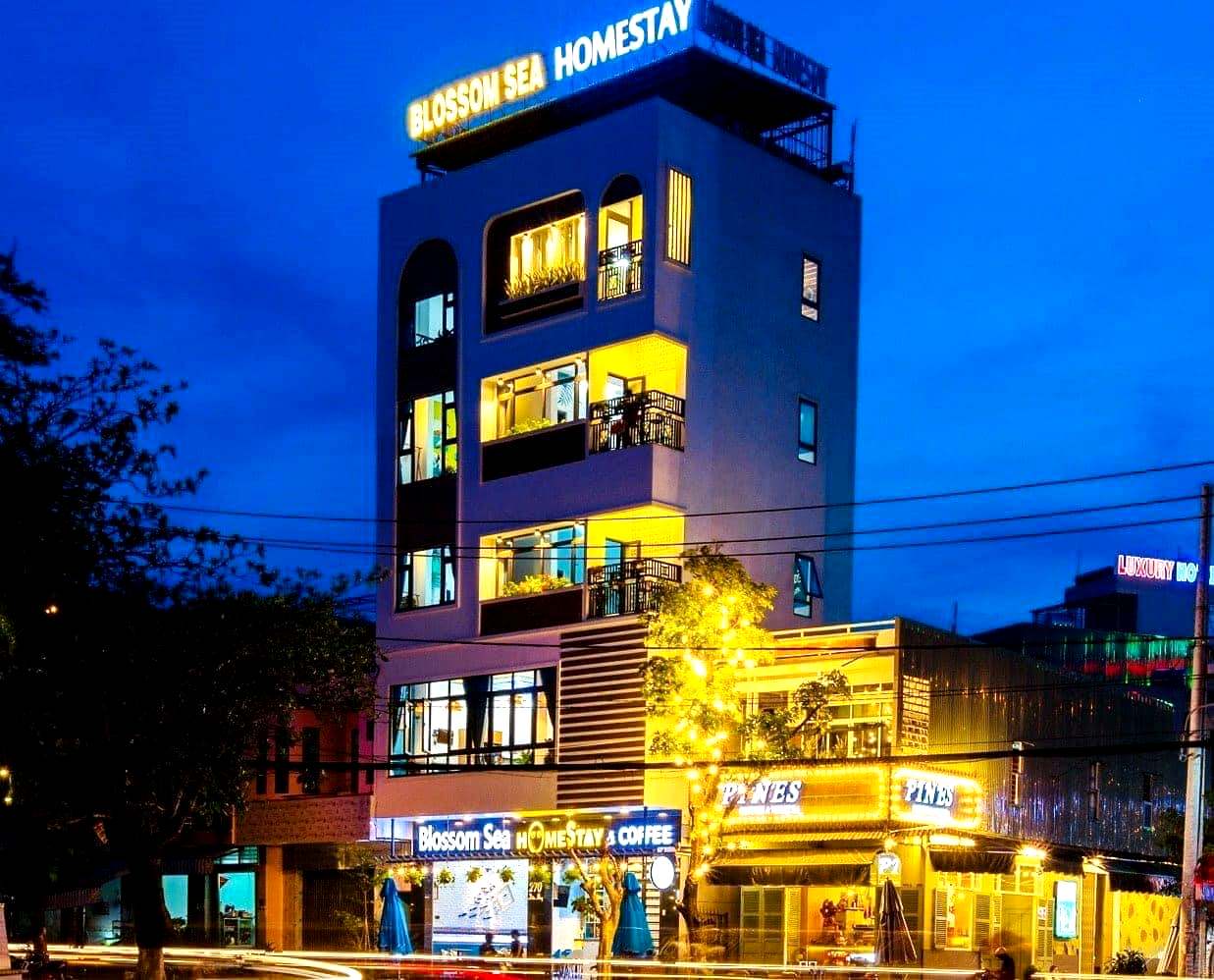 Review Blossom Sea Homestay Quy Nhơn- nguồn cảm hứng bất tận từ đại dương xanh